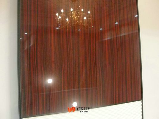 شیشه ای فیلم اثر MDF / PVC پلاستیکی درب کشویی با چاپ انتقال