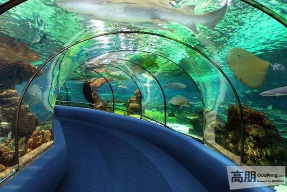 Het melkachtige Fluorescente Acrylblad van de Aquariumpool PMMA, Duidelijke Plexiglascomités